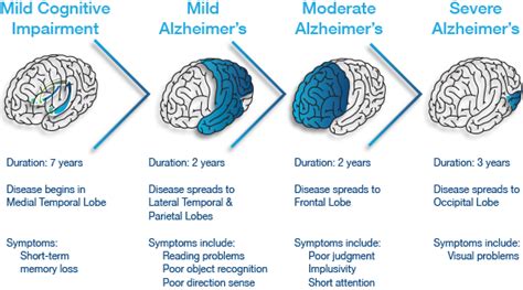 Group Presentation Alzheimer S Disease Wiki