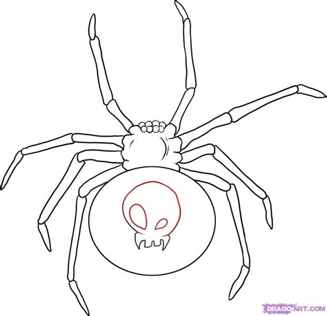 Drawing Black Widow Spider Tattoos Design Images Tattoomagz