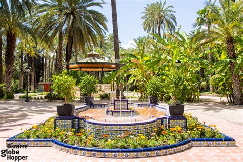 Travel guide resource for your visit to elche. Sight of the Week: The Palm Grove of Elche - The Bizarre ...