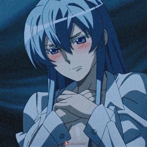 Akame Aesthetic Pfp