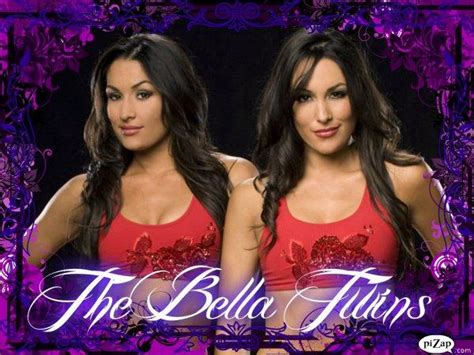 free download bella the bella twins wallpaper 14879157 [1280x1024] for your desktop mobile
