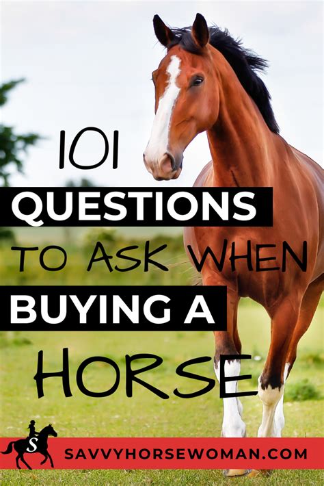 101 Questions To Ask When Buying A Horse Artofit