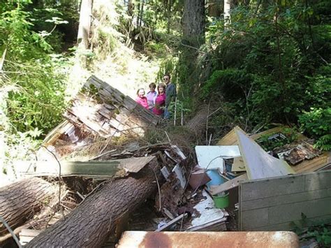 Find and book unique accommodations on airbnb. Crushed Cabin At Goss Lake, Langley, Whidbey Island ...