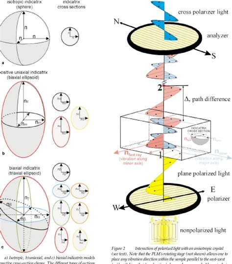 Figure 1 From Rediscovering Polarized Light Microscopy Semantic Scholar