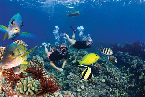 Finding The Best Snorkeling In Maui For Families