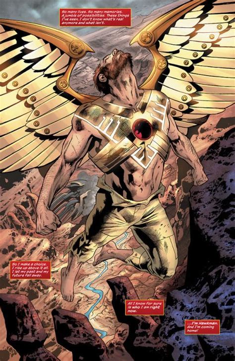 Hawkman Found 1 Hawkman Hawkgirl Dc Comics Art