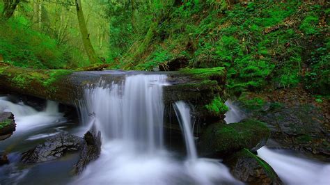 Wallpaper Waterfall Tree Moss Green Nature 2560x1600 Hd Picture Image