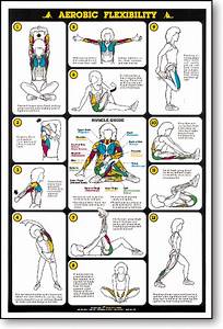 Aerobic Flexibility Fitness Chart F14 Flexibility Workout Aerobics