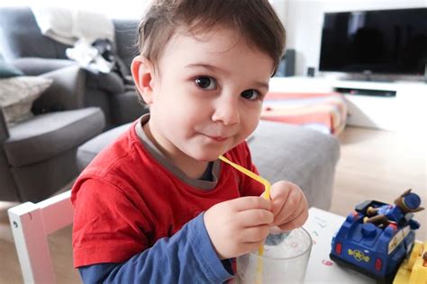 ¿qué Hago Si Mi Hijo De 2 Años No Quiere Comer Mamaingeniera
