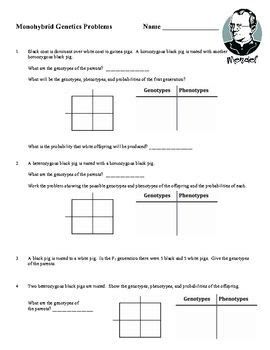 Monohybrid cross problems worksheet with answers best the law from monohybrid cross worksheet answers , source: Monohybrid Cross Worksheet | Different types, Different ...
