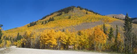 Fall Foliage Como Colorado To Boreas Pass September 25 2014