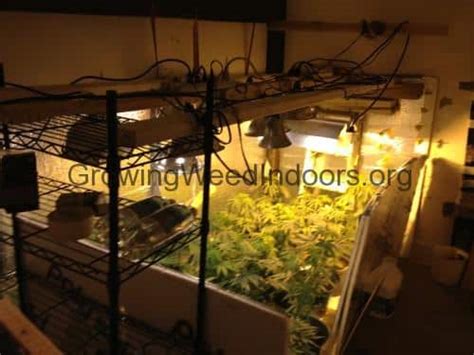 Grow Room How To Grow Weed Indoors
