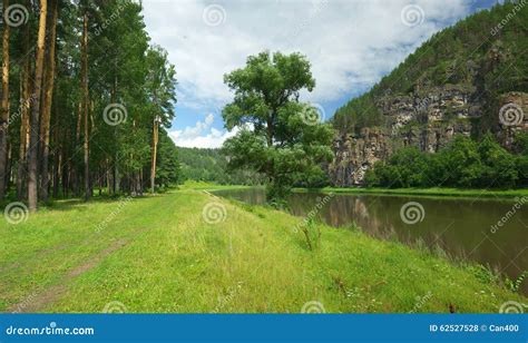 Hay River Russia South Ural Stock Photo Image Of Green Birch