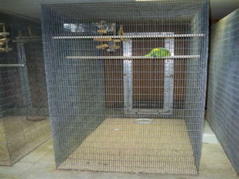 Walk In Bird Aviary Cage Large Birdcage Design Ideas