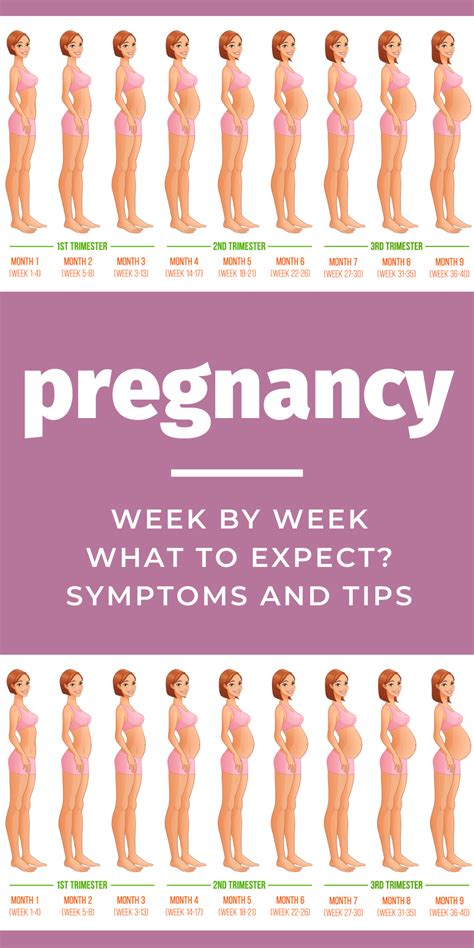 Pregnancy Week By Week Symptoms And Tips To Help And Guide You Pregnancy Symptoms By Week