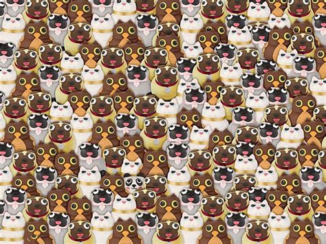 Can You Spot The Panda Bear Among The Cats Dogs And Owls Hidden