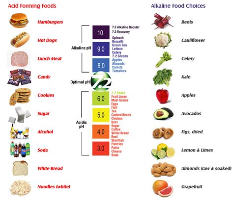 Acidic Vs Alkaline Food Chart