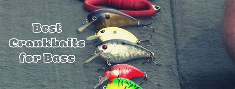 Best Crankbaits For Bass Fishing In 2022 Top Pick Reviews
