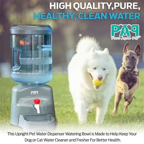 Pure Aqua Pet 5 Gallon Water Dispenser For Dogs And Cats Pure Aqua Pet