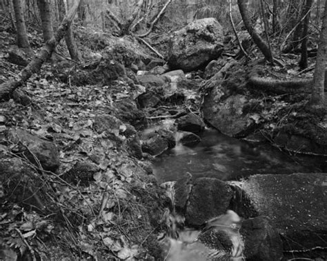 Little Creek V My Linhofs Been On The Shelf For A Lon Flickr