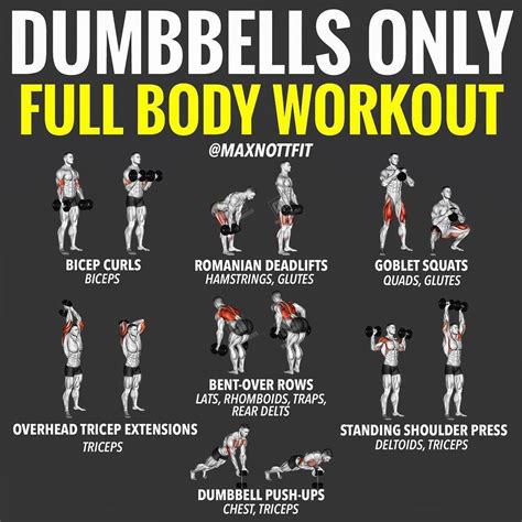Incredible Dumbbell Arm Workout Routine At Home For Gaining Weight