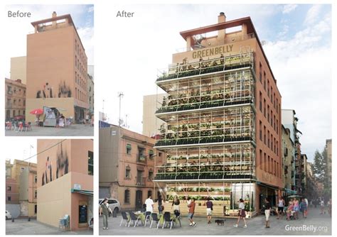 Greenbelly Turning City Walls Into Vertical Farms — Agritecture