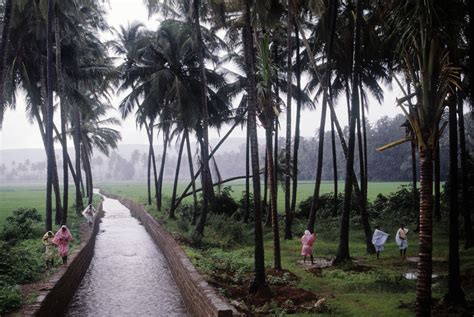 Goa In The Monsoon Season Essential Vistors Guide