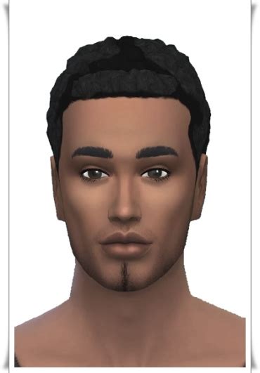 Sims 4 Male Afro
