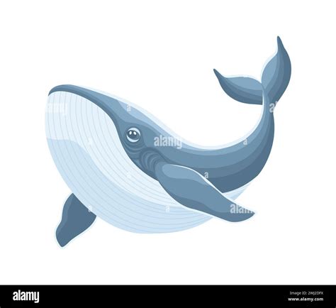 Gray Blue Cartoon Whale Isolated On White Background Flat Vector