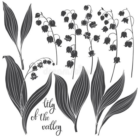 Lily Of The Valley Vector Illustration Isolated Floral Elements For