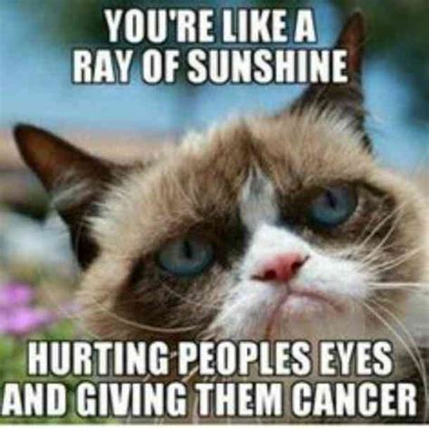 15 Of The Best Grumpy Cat Memes Rest In Peace Mamas