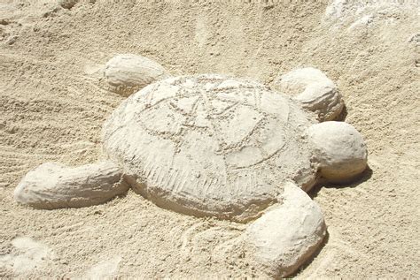 Sand Sea Turtle Sand Sculptures Sand Art Sand Castle