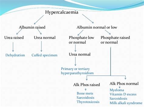 A Short Presentation On Hypercalcaemia