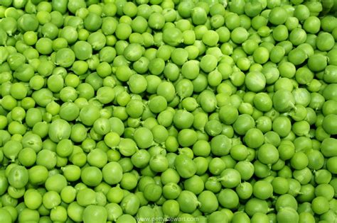 How To Blanch And Freeze Fresh Garden Peas