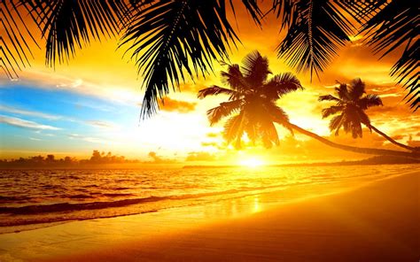 imágene experience 30 fotos de playas tropicales con agua cristalina sol palmeras y arenas