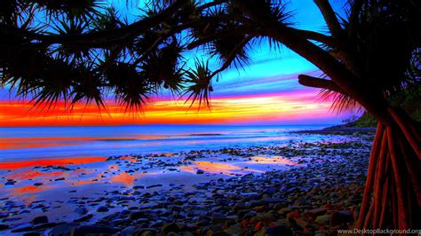 Tropical Sunset Wallpaper Desktop 68 Images