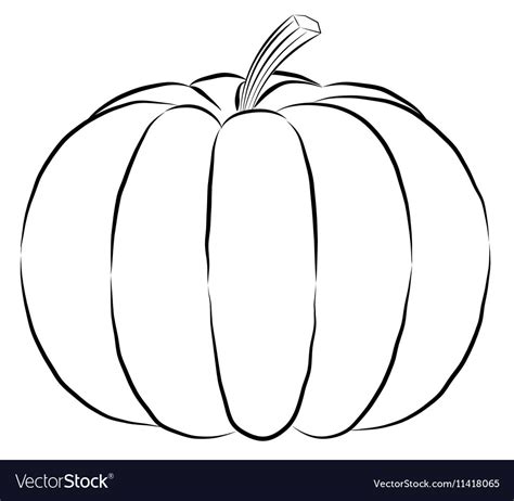 Outline Pumpkin Black Fine Lines And Spine Vector Image