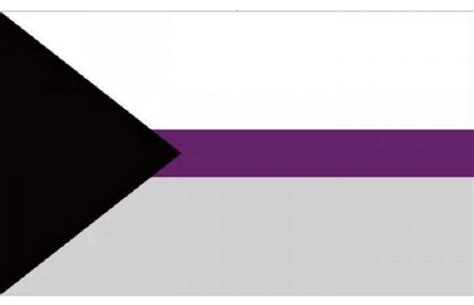 What Does The Demisexual Flag Look Like And What Does It Mean To Be