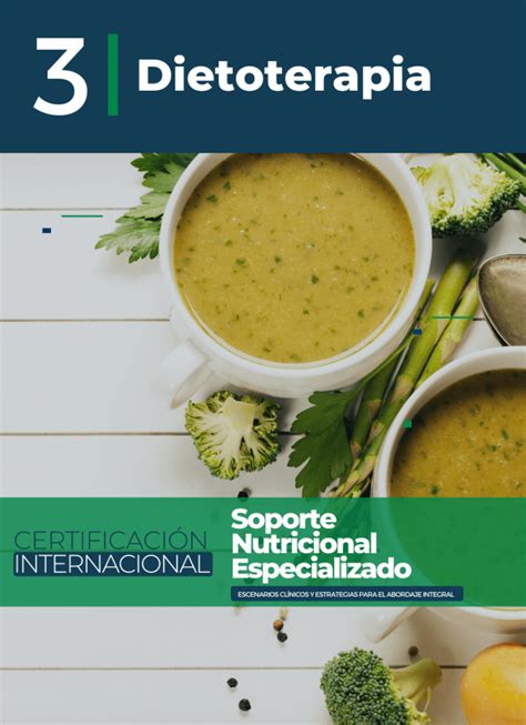 Curso Intensivo Microbiota Intestinal Instituto Universitario Vive Sano