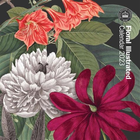 Royal Botanic Gardens Floral Illustrated Mini Calendar 2023 Desk