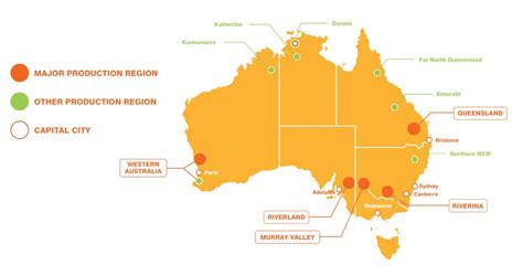 Growers And Industry Citrus Australia