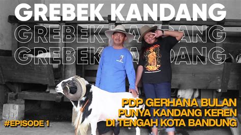 Grebegkandang Ep1kandang Domba Garut 2 Lantai Di Kota Bandung Youtube