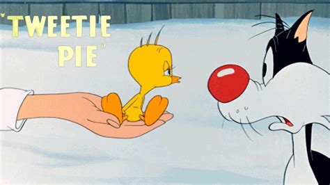 Tweetie Pie 1947 Merrie Melodies Cartoon Short Film Sylvester As Thomas