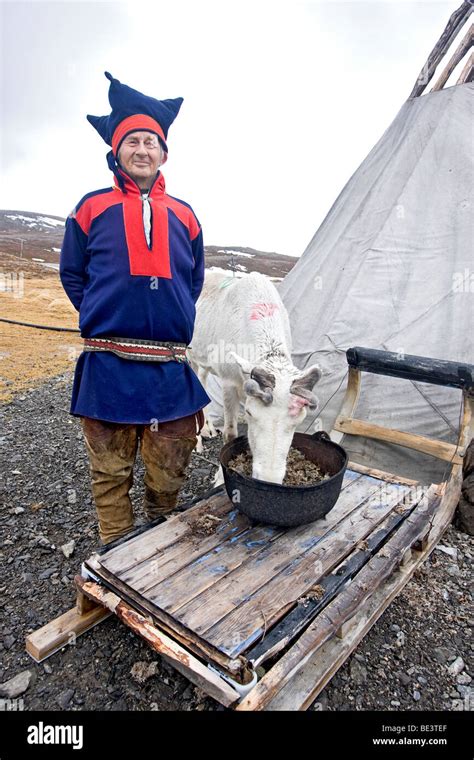 Elderly Sami Man In Traditional Clothing Stands By His Tent With One Of