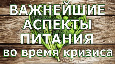 Важнейшие аспекты питания во время кризиса / Елена Бахтина - YouTube