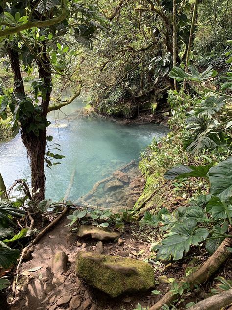 Rio Celeste Trail Alajuela Costa Rica Alltrails