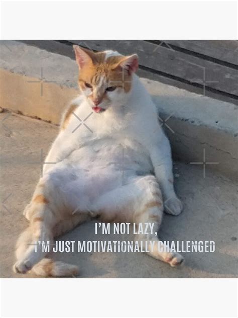 Im Not Lazy Im Just Motivationally Challenged Funny Cat Meme Funny Fat Lazy Cat Lazy Cat