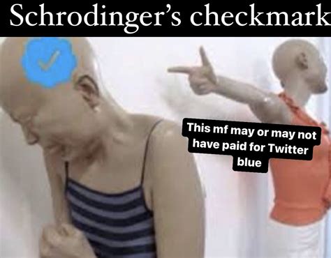 schrodinger s checkmark twitter 8 blue checkmark know your meme