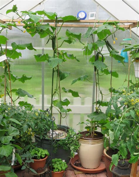 Smart Gardening With Vegetables 101 Growing Your Garden Tips