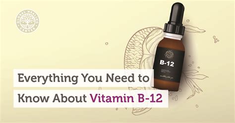 Everything You Need To Know About Vitamin B12 Webinar